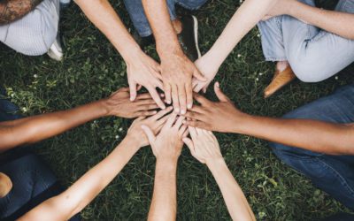 Team Building en Camargue : 20 Activités pour Renforcer la Cohésion d’Équipe