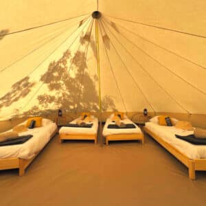 Tipi Lodge Confort + pour 4 personnes, disponible à la location, offrant un hébergement spacieux et confortable, idéal pour séminaires, fêtes privées et événements outdoor.